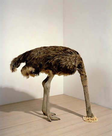 ������������ �������������